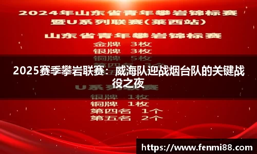 2025赛季攀岩联赛：威海队迎战烟台队的关键战役之夜