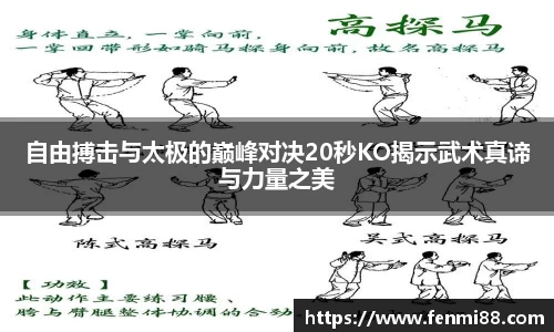 自由搏击与太极的巅峰对决20秒KO揭示武术真谛与力量之美